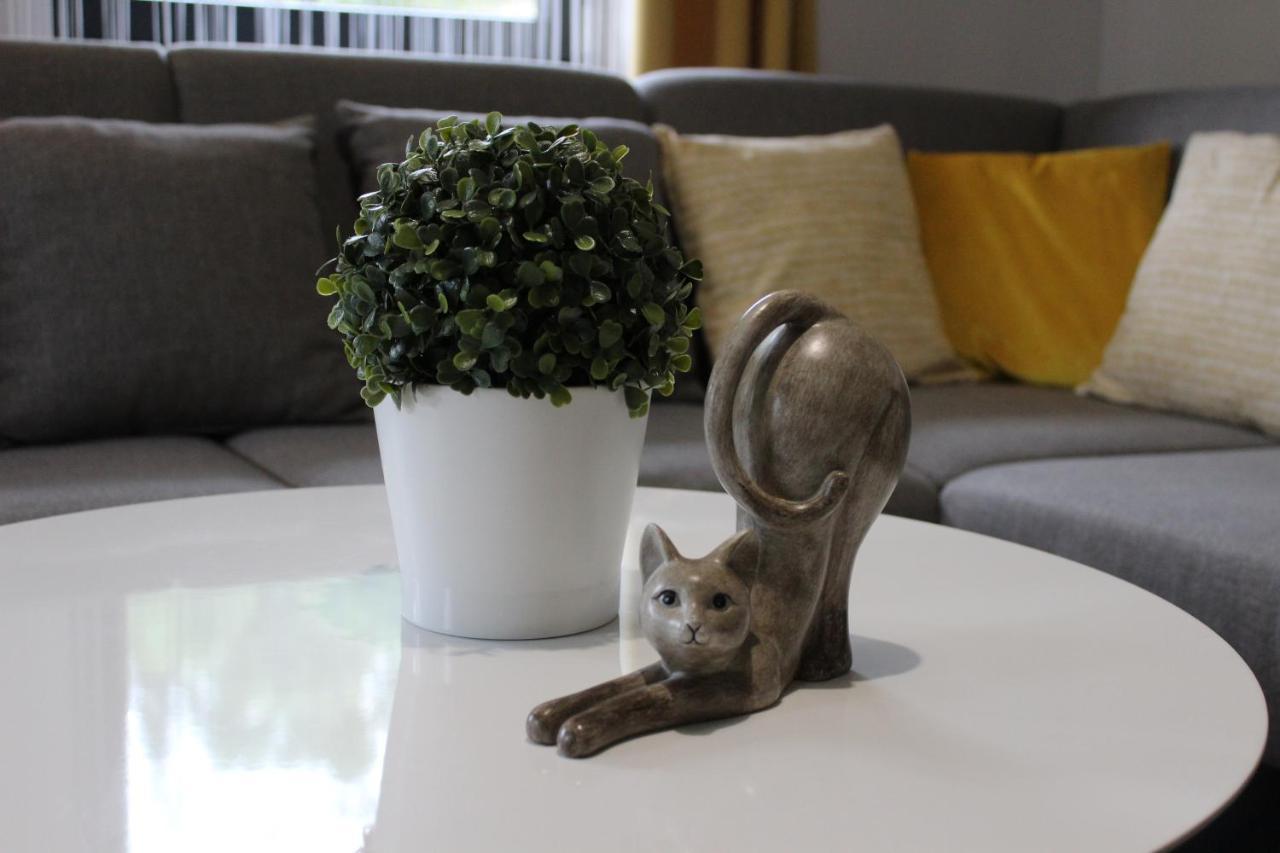 Apartamenty Swistak Maciej Dunajczan Bukowina Tatrzańska Dış mekan fotoğraf