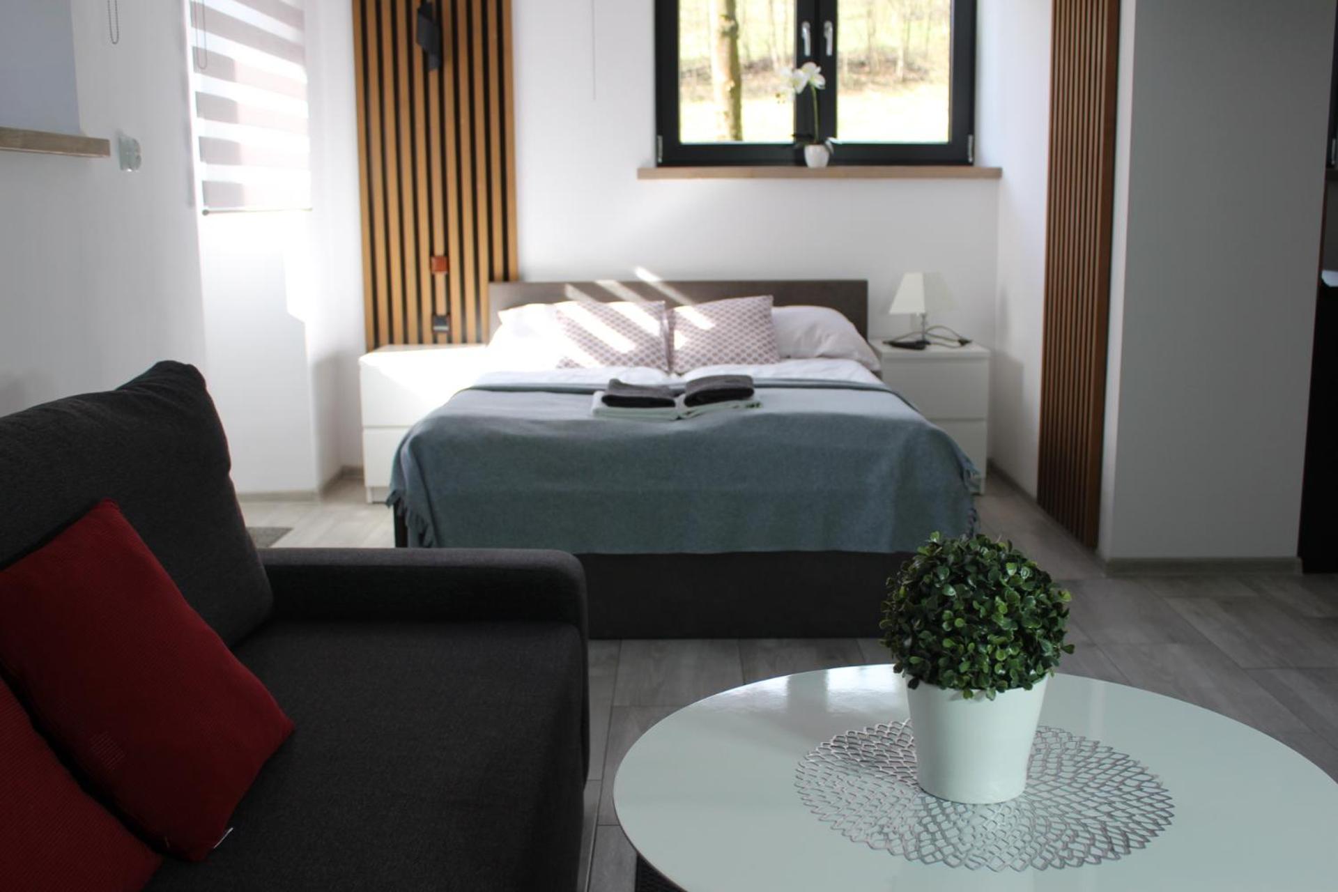 Apartamenty Swistak Maciej Dunajczan Bukowina Tatrzańska Dış mekan fotoğraf